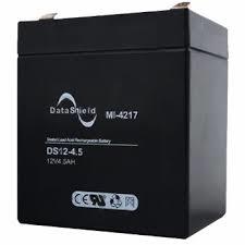 BATERIA 12V/4.5 AH-DATASHIELD