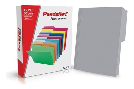 FOLDER PENDAFLEX 05012GR TAMAÑO CARTA 1 PAQUETE CON 50 PIEZAS-ESSELTE