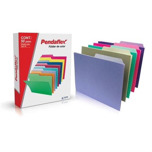 FOLDER PENDAFLEX 05012SL TAMAÑO CARTA 1 PAQUETE CON 50 PIEZAS-ESSELTE