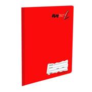 CUADERNO COLEGIAL RAYTER RAYA 100 HOJAS-RAYTER