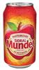 AP00026-22104 REFRESCO SABOR MANZANA 355ML-SIDRAL