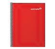 CUADERNO PROFESIONAL ESTRELLA RAYA 100 HOJAS-Estrella